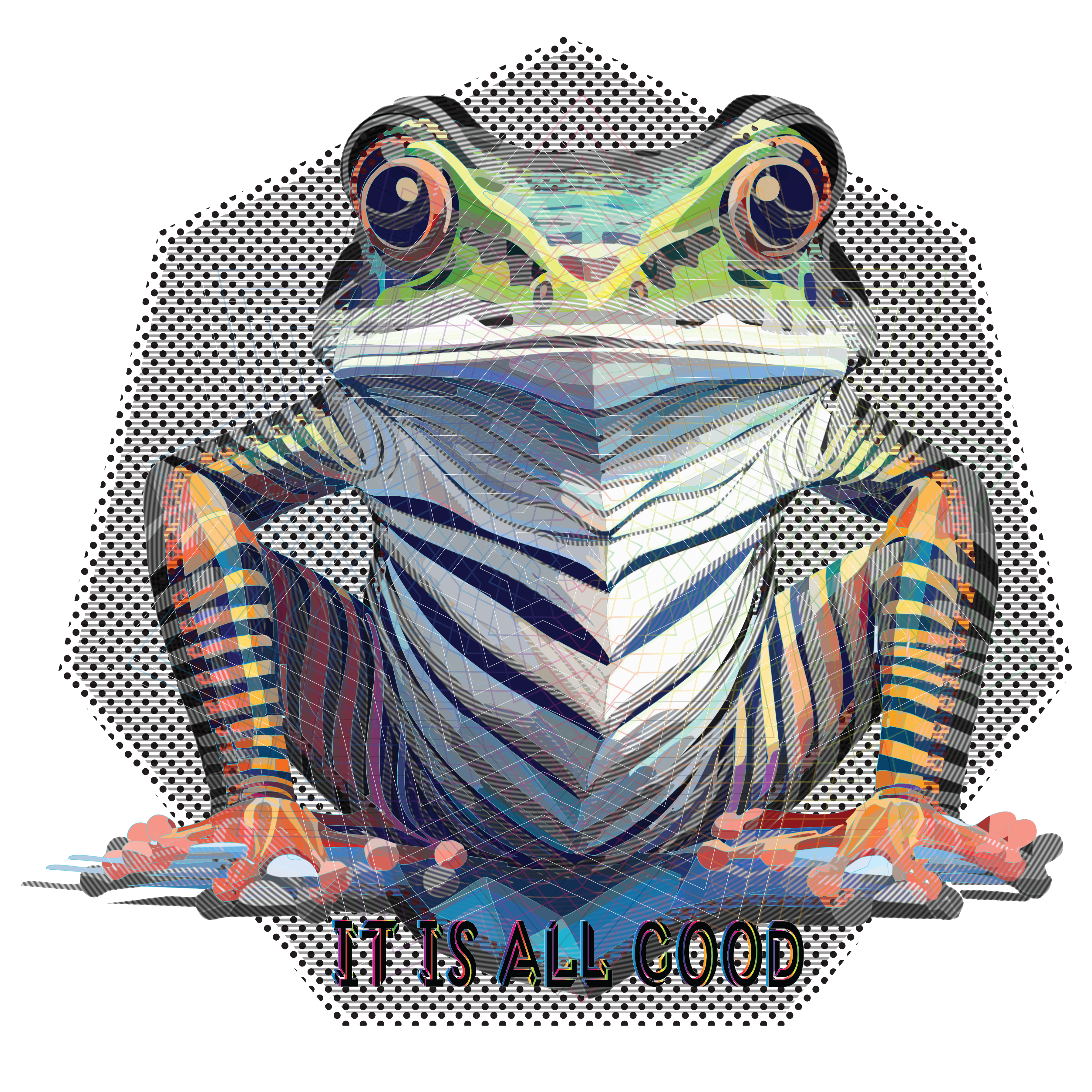 Zebra Frog it is all good